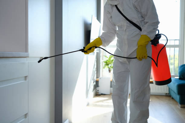 Best Attic Mold Remediation in East Ridge, TN